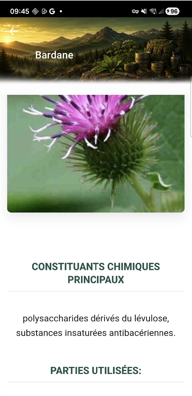 Fiche Bardane