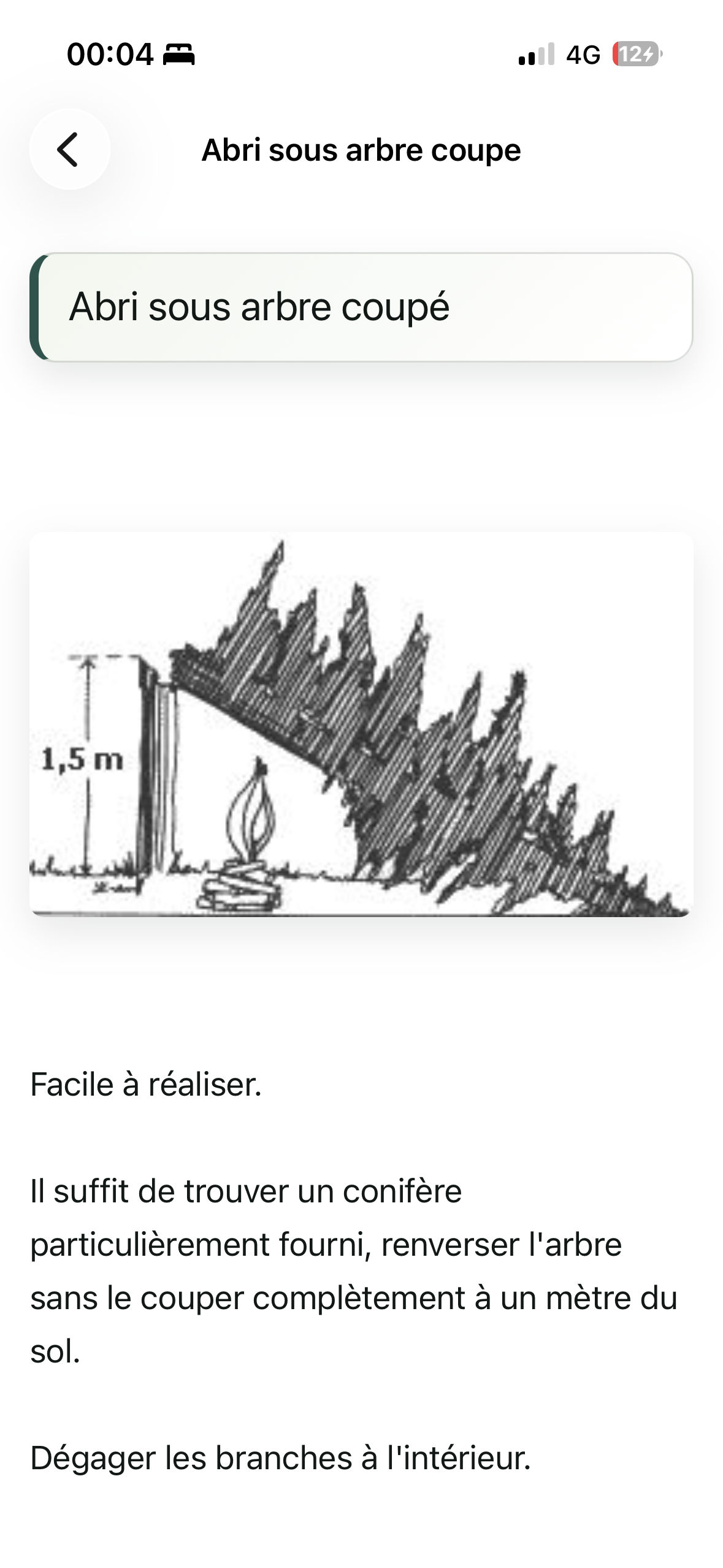Fiche abri sous arbre coupé