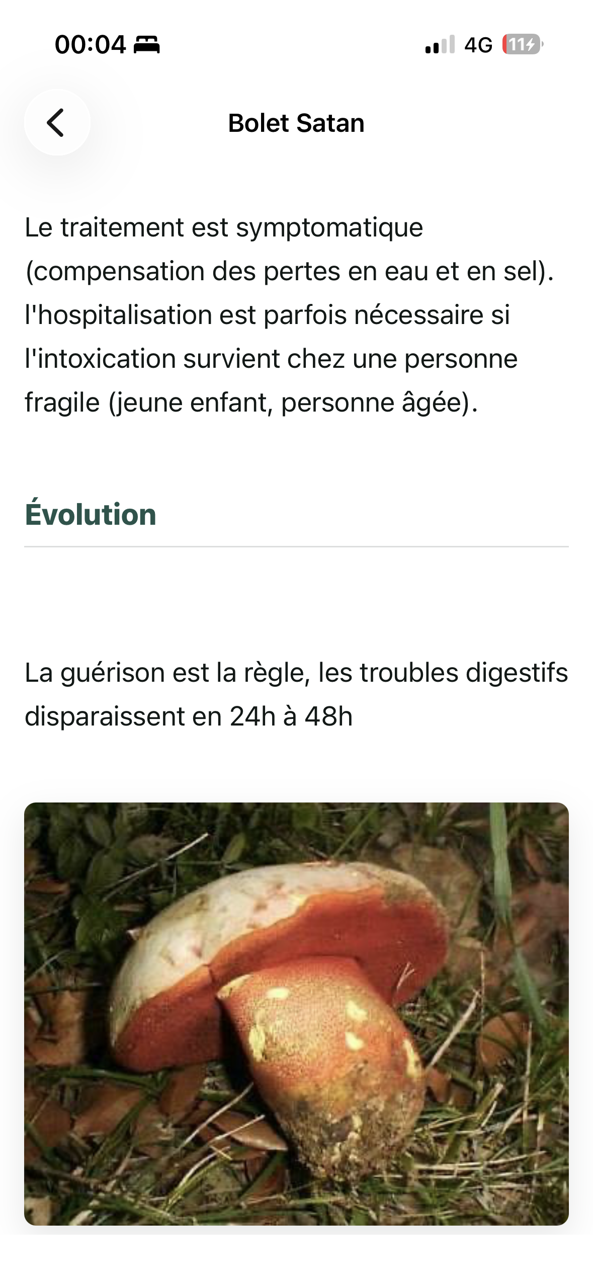 Fiche Bolet Satan avec évolution et photo